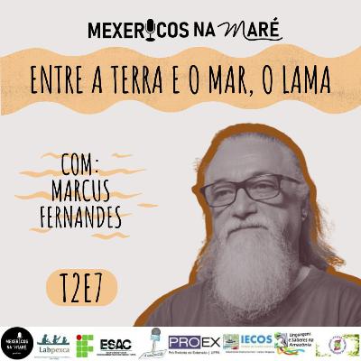 T2E7 MEXERICOS NA MARÉ - ENTRE A TERRA E O MAR, O LAMA