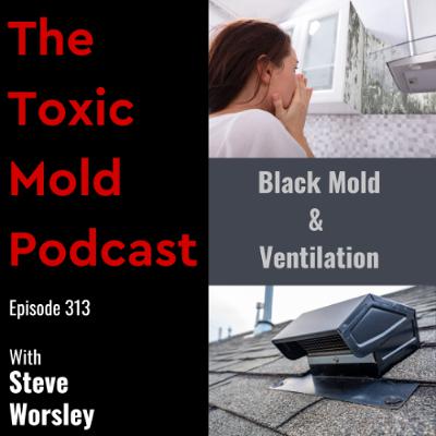 EP 313: Black Mold & Ventilation