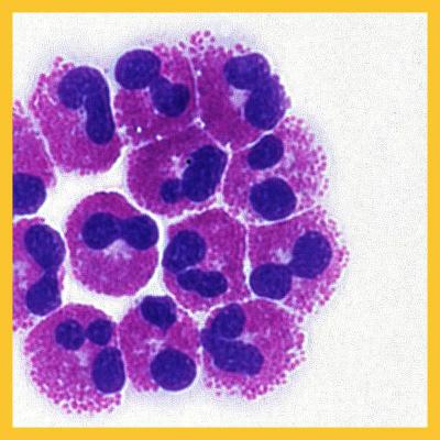 Episode 8 - Breathing easy with lncRNA