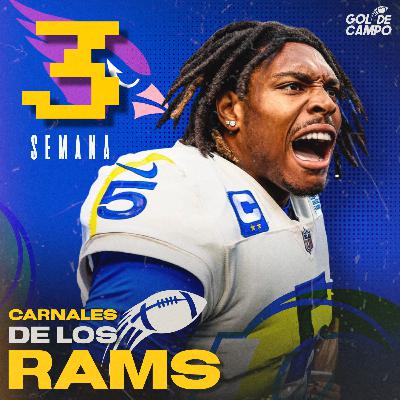 38 - Semana 3 vs Cardinals. Una victoria es una victoria y vamos 1-1.