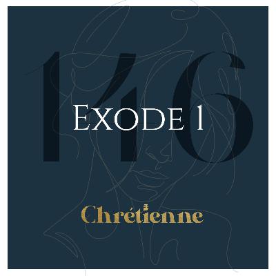 146. Le Dieu qui se souvient de son alliance (Exode 1)