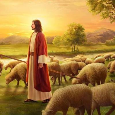Tarea Jesús y el amor