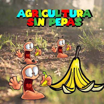 Erres y Compost-ura Erres y Compost-ura