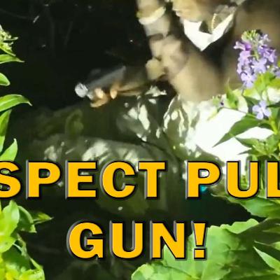 Man Hiding In Bushes Pulls Gun On Officers On Video - LEO Round Table S08E131