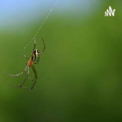 2021.中共中央办公厅印发《关于推进实施国家文化数字化战略的意见》-2022-05-23