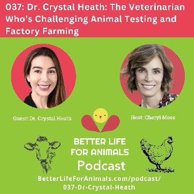 037: Dr. Crystal Heath: The Veterinarian Who's Challenging Animal Testing and Factory Farming 037: Dr. Crystal Heath: The Veterinarian Who's Challenging Animal Testing and Factory Farming