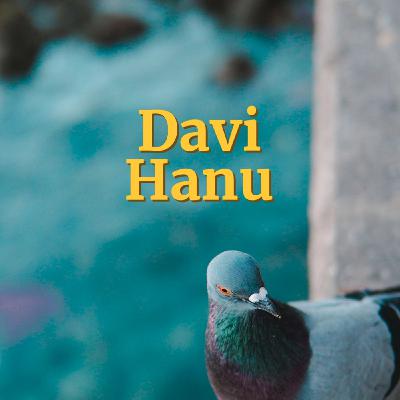 Viossa Q&A - Special (English) Episode!