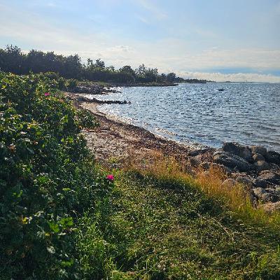 Hardlopen 299 | Vakantie Podcast over Hardlopen ☀️🏃🌫