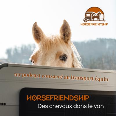 Episode 1 - Les bases à savoir quand on veut tracter (PTRA, PTAC, Permis) Episode 1 - Les bases à savoir quand on veut tracter (PTRA, PTAC, Permis)