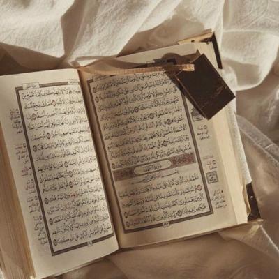 Surah Al Muzzammil [ سورة المزمل ]- Reciter Tareq Rukhiyat