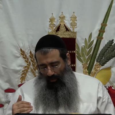 הגדה של פסח שיעור 3 הגדה של פסח שיעור 3