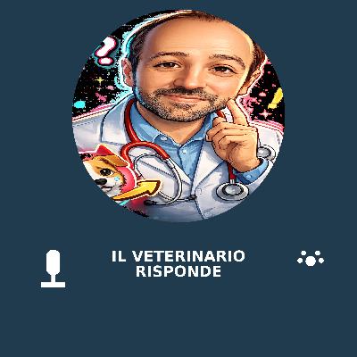 I cani capiscono davvero quello che dici? I cani capiscono davvero quello che dici?