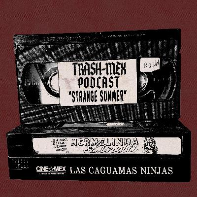 Strange Summer: Hermelinda Linda (1984) & Las Caguamas Ninja (1991)