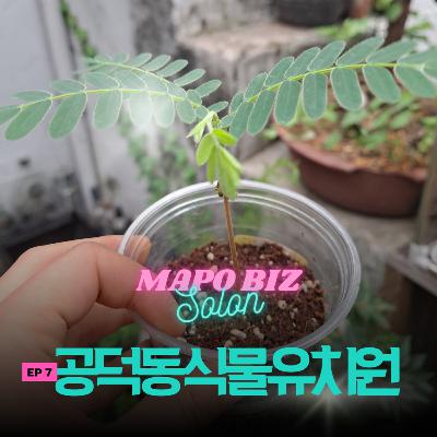 7화. 버려진 식물 줍는 게 사업이라고요? 유기 식물을 구조하는 곳 / 공덕동 '공덕동식물유치원'