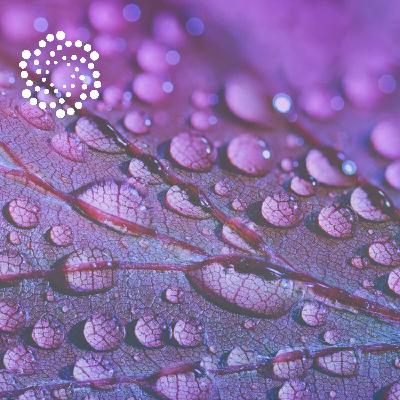 #23: The Power of Acceptance – How Letting Go Creates True Change