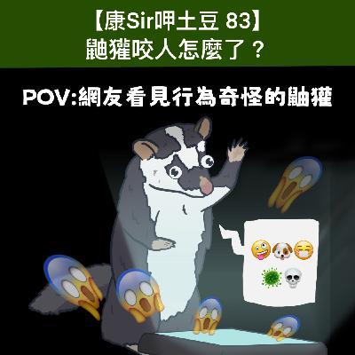 【康Sir呷土豆 83】鼬獾咬人怎麼了? 【康Sir呷土豆 83】鼬獾咬人怎麼了?