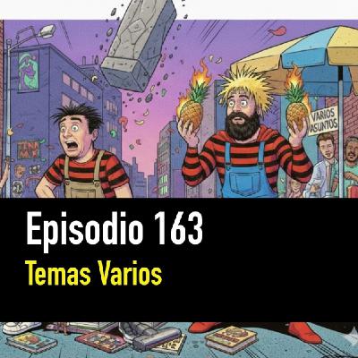 PC #163. Temas Varios