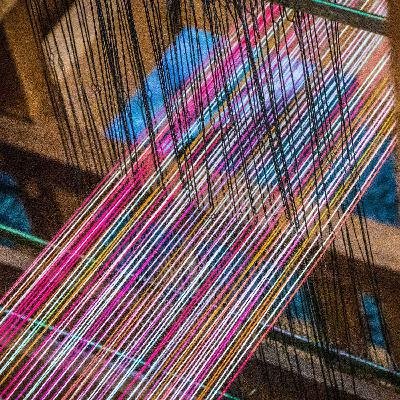 Strengthening Democracy by Increasing Social Trust & Cultivating Connections Across Difference, with Robb Willer Strengthening Democracy by Increasing Social Trust & Cultivating Connections Across Difference, with Robb Willer