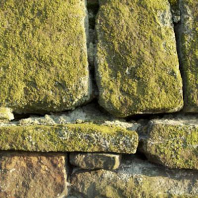 The Ting Tings vs Queen: Shut Up and Bite The Dust - Mashup