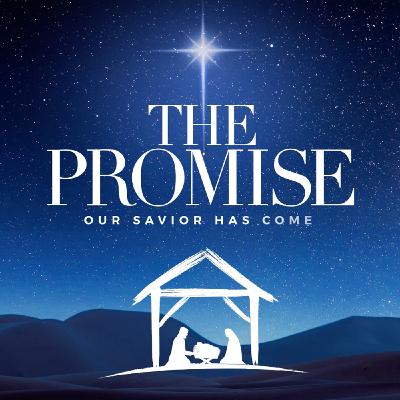 Simeon - Hope Simeon - Hope