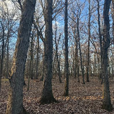 Land and Habitat Chat with Brady Bradley