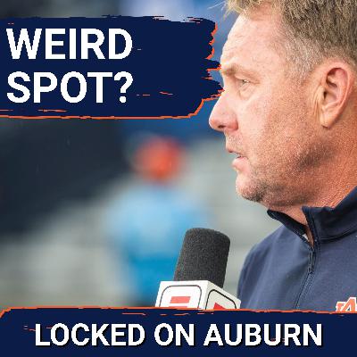 INTERESTING: Auburn Tigers STUMP College Football Expert vs Georgia Bulldogs