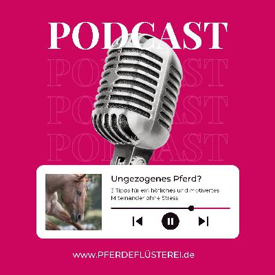 Unerzogenes Pferd? 3 klare Wege zu mehr Respekt – ganz ohne Strafen Unerzogenes Pferd? 3 klare Wege zu mehr Respekt – ganz ohne Strafen