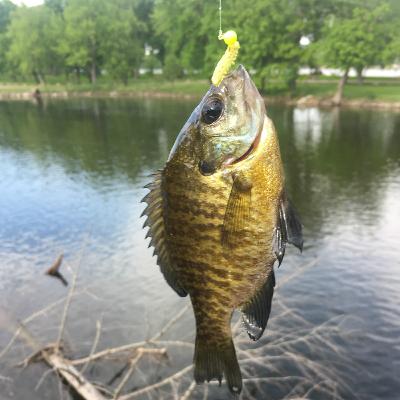 Make A Difference Fishing Tournament