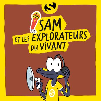 Episode 2 : Qu’est-ce qui vit dans le sol ? Episode 2 : Qu’est-ce qui vit dans le sol ?