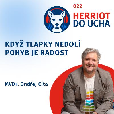 Když tlapky nebolí - pohyb je radost. Prevence onemocnění kloubů u psů a koček🐈🐶🐾 - MVDr. Ondřej Cita