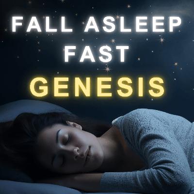 FALL ASLEEP FAST | Book of Genesis | Sleep Music & Rain Sounds