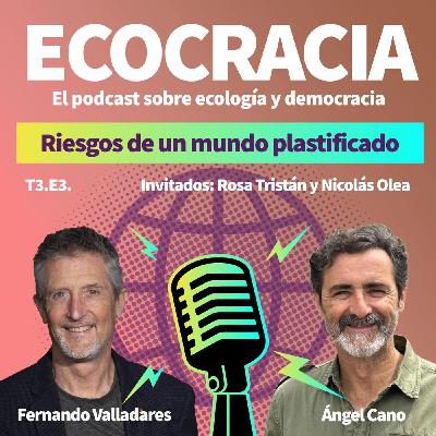 18 - Riesgos de un mundo plastificado