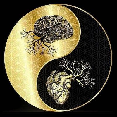 CONFIANZA Y AUTOCONFIANZA