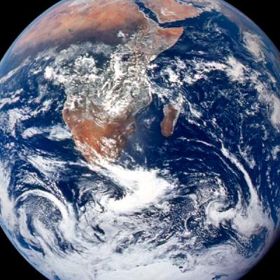 2020, el año en que la tierra respiró