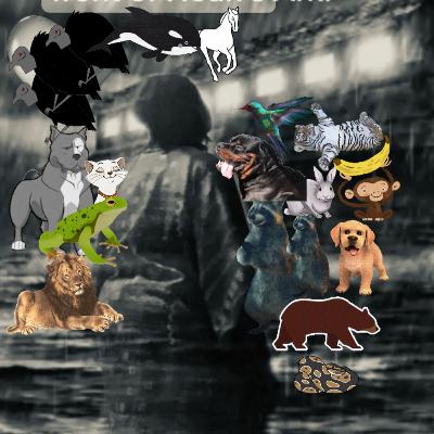 S7 E22 Just Like Noah, Brenda’s Ark Has A Lot of Animals On It Too! Vision of A Puppy!