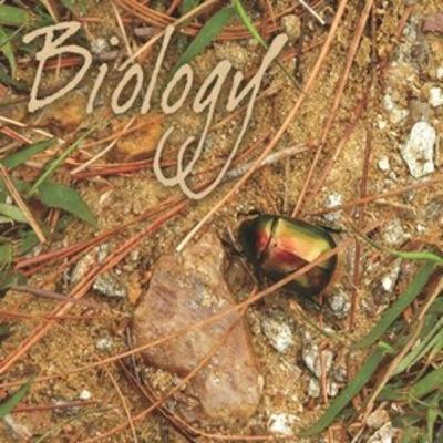 CH-22 CHEMICAL COORDINATION AND INTEGRATION