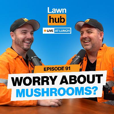 Are Mushrooms bad for my lawn? | Lawnhub Live EP91