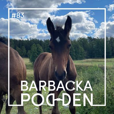 Hästmester Hästmester