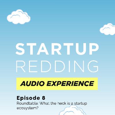 Ep 8: Round Table: What the heck is a startup ecosystem?
