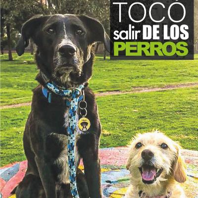 Papá primerizo - Capítulo 4 - Nos tocó salir de los perros Papá primerizo - Capítulo 4 - Nos tocó salir de los perros