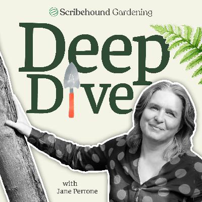 Deep Dive: Arit Anderson talks to Nigel Dunnett about his Sheffield garden