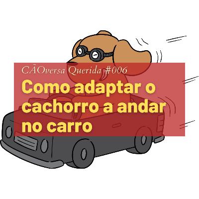 CÃOversa Querida #006 - Como adaptar o cachorro a andar de carro CÃOversa Querida #006 - Como adaptar o cachorro a andar de carro