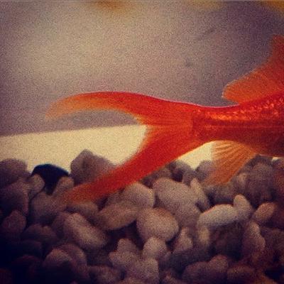 87 Steve Slingeneyer (Soulwax, One Man Party) 87 Steve Slingeneyer (Soulwax, One Man Party)