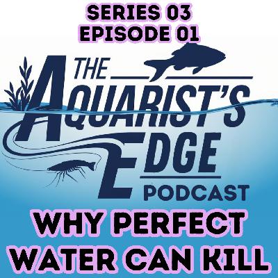 Stop Killing Your Guppies With Perfect Water Stop Killing Your Guppies With Perfect Water