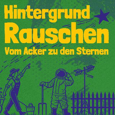 Hintergrundrauschen - Ferkel beim Saugen Hintergrundrauschen - Ferkel beim Saugen