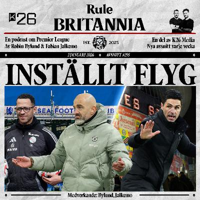 #295 Inställt flyg