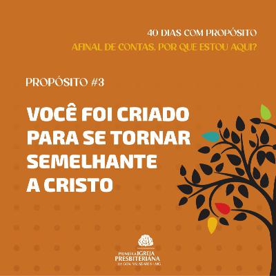 VOCÊ FOI CRIADO PARA SE TORNAR SEMELHANTE A CRISTO - Efésios 4.17-32 - Rev. Marcus Vinícius