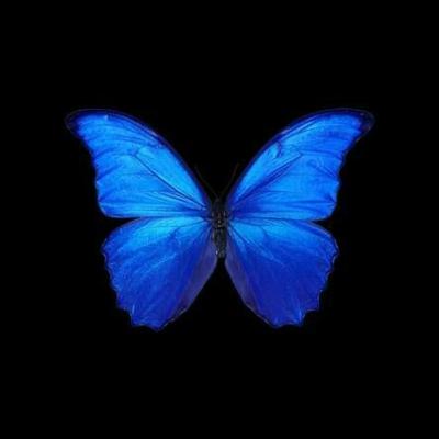 Dari Dia: sahabatan (katanya)