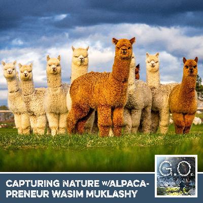 GO 124 - Capturing Nature With Alpacapreneur Wasim Muklashy GO 124 - Capturing Nature With Alpacapreneur Wasim Muklashy