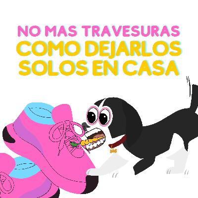 22 - No más travesuras - Como dejarlos solos en casa